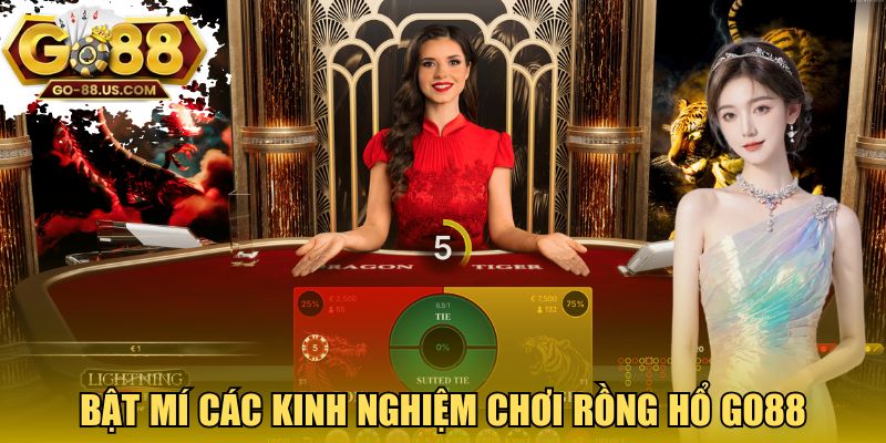 Bật mí cách chơi Dragon Tiger GO88 chuẩn